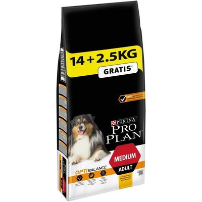 PURINA ONE Promo Lot de 2 croquettes à la dinde et riz - Pour chien peu  actif ou en surpoids - 2x 1,5 kg - Cdiscount Animalerie