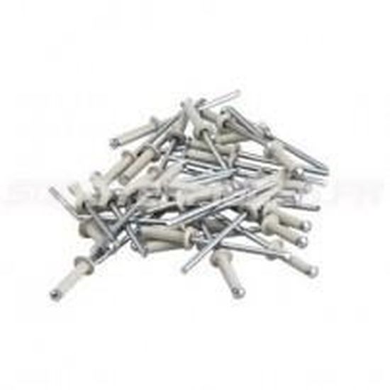 RIVET X1 BLANC 4X16 POUR PLAQUE IMMATRICULATION Cdiscount Auto
