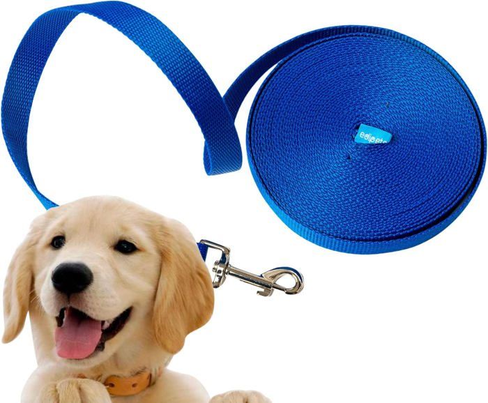 Meilleurs prix pour Edipets Laisse pour Chien Longe pour Chien 15 m/3 m/5 m/10 m/15 m adapté aux Petits et Grands Chiens (15 M Bleu)