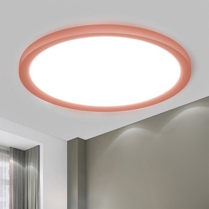 LED Plafonnier 1 6CM Ultra Fin Rond Plat IP44 ÉTanche Lampe De Salle De Bain 18W 6500K 1700LM Ø22 x H1.6 cm Rose ROSE 65 PROJECTEUR