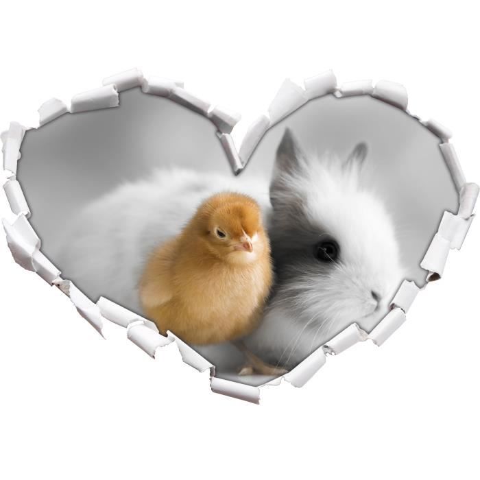 Petit Poussin Avec Un Doux Lapin B W Details Coeur En Apparence 3d Mur Ou Format Vignette De La Porte 62x43 5cm Stickers Cdiscount Maison Petit Poussin Avec Un Doux Lapin B W Details Coeur En Apparence 3d Mur Ou Format Vignette De La Porte 62x43 5cm Stickers Cdiscount Maison