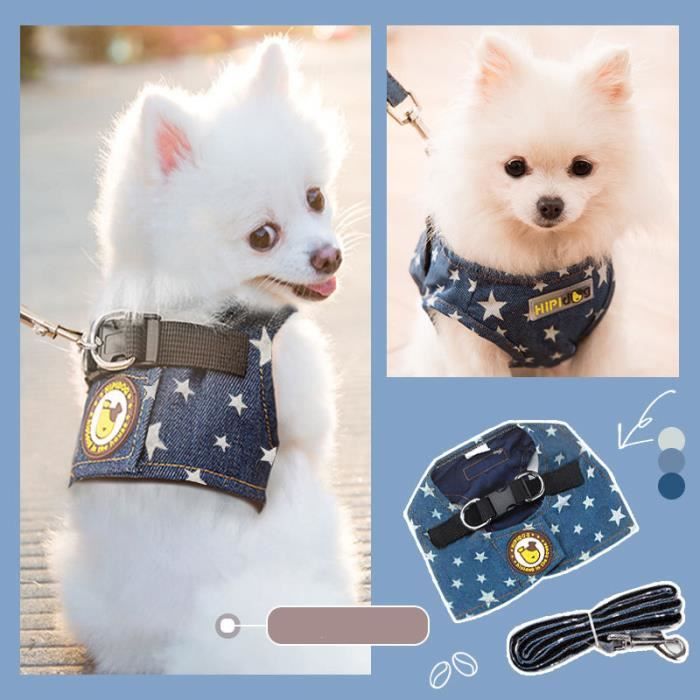 Cadeau .Harnais De Poitrine Pour Animaux De Compagnie Harnais Anti-évasion Pour Chat Harnais