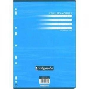 Feuillets Mobiles Grands Carreaux 21x29,7 Cm - 100 Pages 70g - Pour Classeurs - Hamelin
