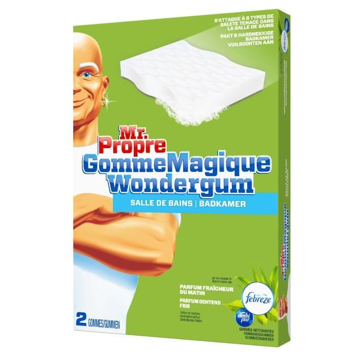 Mr Propre Gomme Magique Nettoyante Sdb X2 Achat Vente Eponge