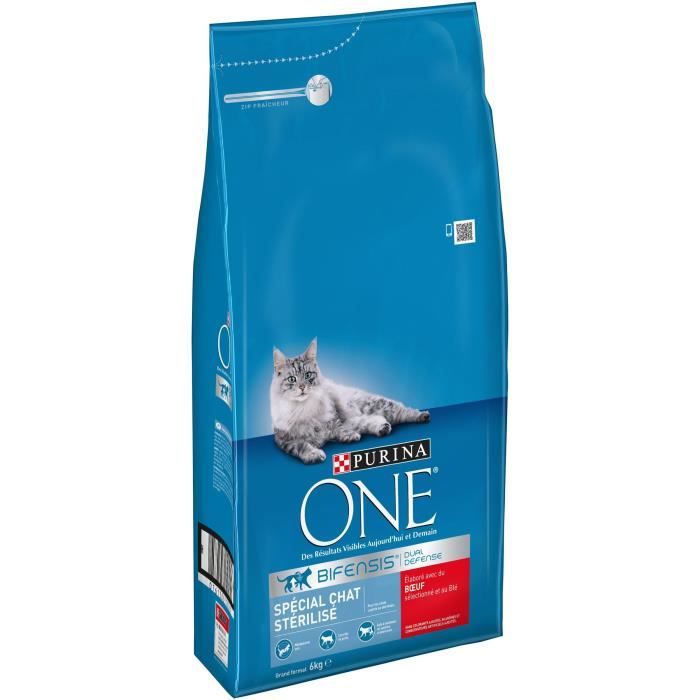 Purina One Croquettes Au Bœuf Et Au Ble Pour Chat Adulte Sterilise 6 Kg Cdiscount Animalerie