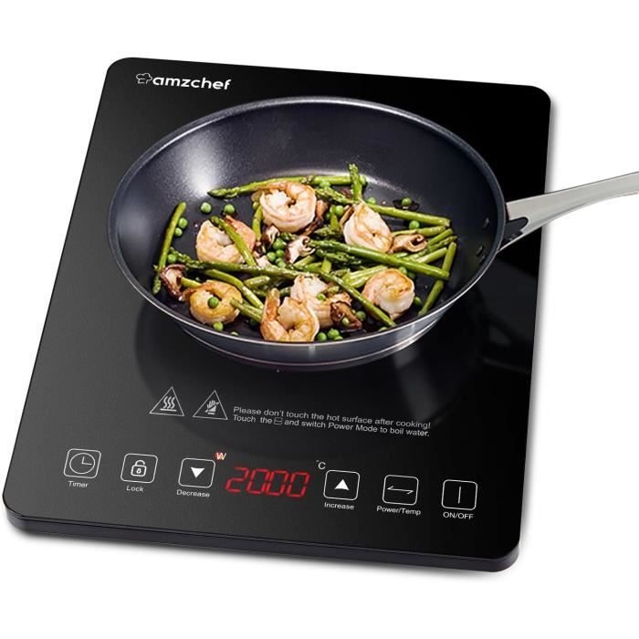 Fliuyr Plaque De Cuisson à Induction 3500W - 10 Niveaux Température 80-300°C, Charge 50kg, Acier Inoxydable, Idéale Pour Cuisine Rapide