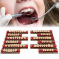 Sonew dents en résine Prothèse dentaire de dents de matériel dentaire de fausses dents de résine synthétique  Fournitures de-3