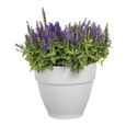 ELHO Pot de fleurs rond Vibia Campana - Ø 20 cm - Blanc-4