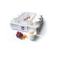Yaourtiere fromagere