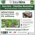 SOLUNEMA - Nématodes SC - Vers Gris - 25 millions Nématodes Steinenerma-0