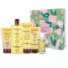 EVOLUDERM - Coffret Idyllique Corps & Cheveux Monoï à la Folie - Box Jungle - Idéal cadeau Noël, Anniversaire, Fête des Mères