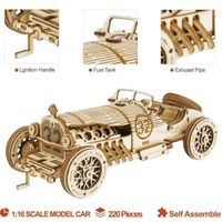 Car en Bois à Construire - 3D Puzzle Maquette Bois - Maquette mécanique pour des Enfants et des Adulte (Grand Prix Car)