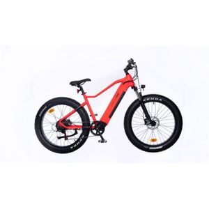 VÉLO ASSISTANCE ÉLEC Vélo électrique YEEP.ME HOLIDAY – Fat Bike 26’’ Mo