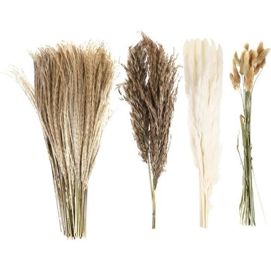 Fleurs Sauvages Beige Séchées Bouquet Arrangement Floral Naturel Beauté Botanique Décoration De