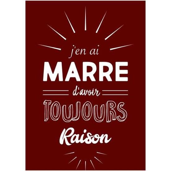 Gs Cadre Plexi 21x29 Cm J En Ai Marre D Avoir Toujours Raison Achat Vente Tableau Toile Cdiscount Gs Cadre Plexi 21x29 Cm J En Ai Marre D Avoir Toujours Raison Achat Vente Tableau Toile Cdiscount