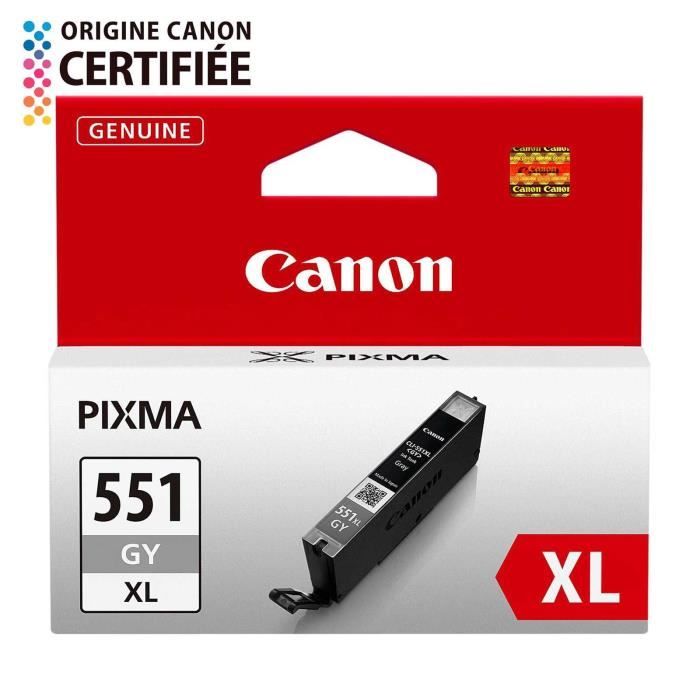 CANON Cartouche dencre CLI-551GY XL grande capacité Gris (CLI551XL)