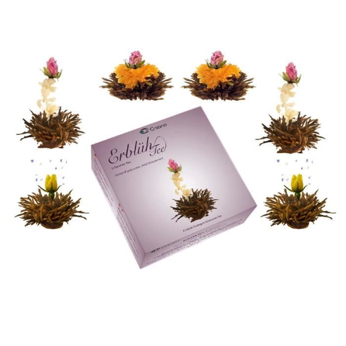 6 Fleurs de The noir Abloom