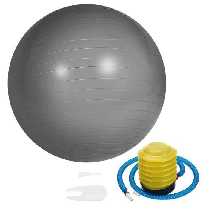 Ballon de Yoga 65cm Fitness Sport Exercice + Pompe Argent
