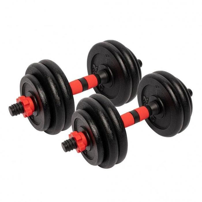 Set d'haltères avec disques en fonte de 25 mm - 25 KG