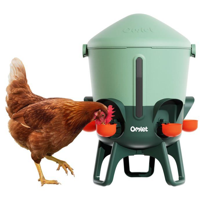 let Abreuvoir isolé pour Poules 11 L  Eau Plus Propre Plus Longtemps  Distribution Autatique Hygiénique  Embouts  FONTAINE A EAU