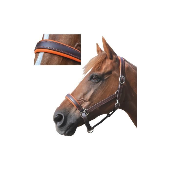 Col De Poitrine En Cuir Double Couture – Taille Poney – équitation