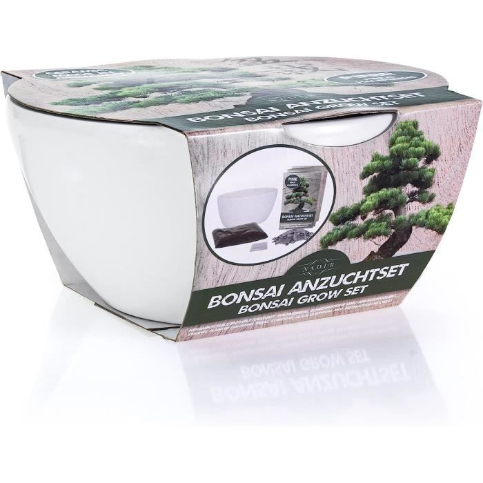 Kit De Culture Pour BonsaïKit De Démarrage Pour BonsaïArbre À Bonsaï
