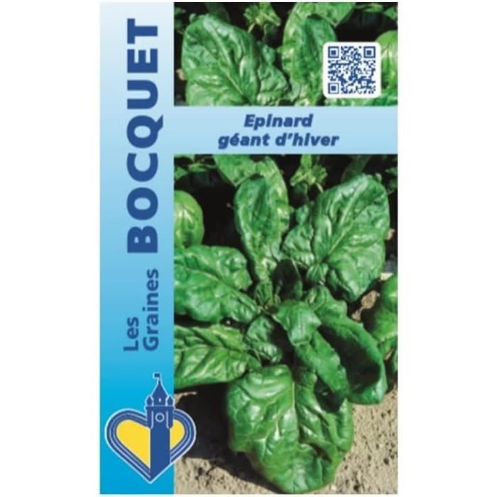 Graines D'épinard Géant D'Hiver