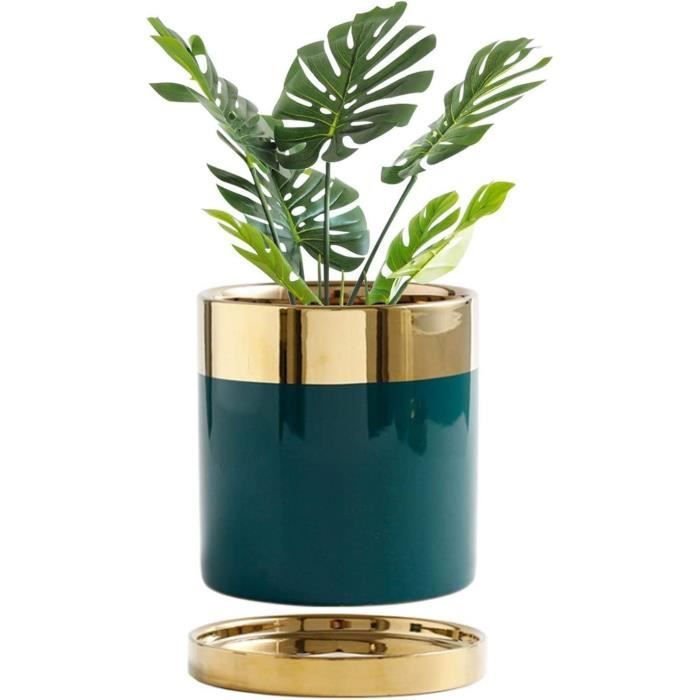 Suspension Plantes Acrylique Cratone - Pot De Plafond Noir Pour Succulentes