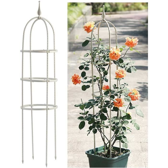 Vis D'ancrage Pour Treillis Métallique De Plantes Grimpantes - Acier Inoxydable, Pour Câbles 2mm - 4