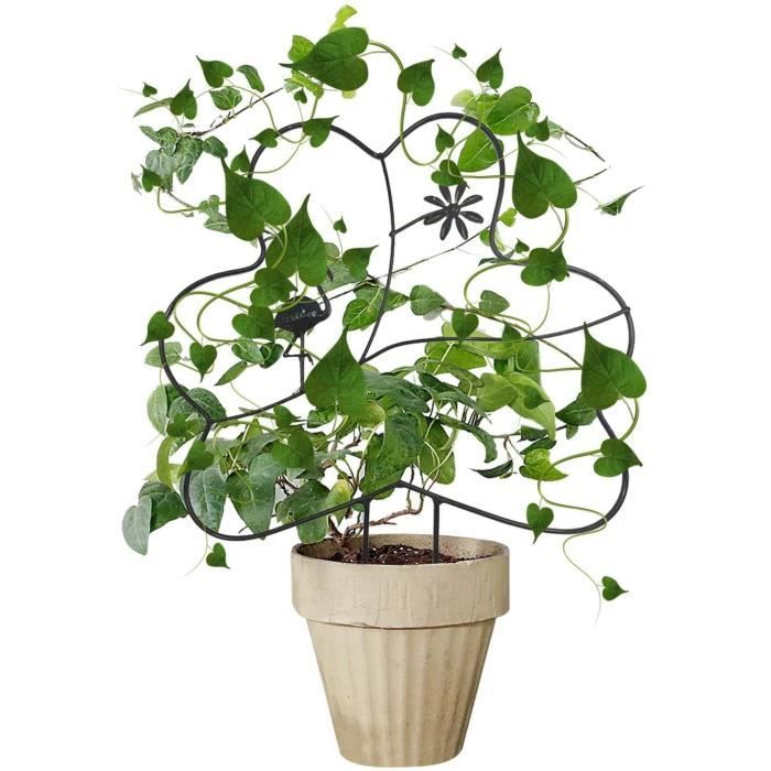4 Pièces Support De Plantes D'Intérieur Treillis Métallique Doré - Idéal Plantes Grimpantes En Pot