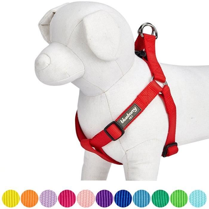 Blueberry Pet Harnais Tour De Poitrail 42 54cm Classique Solide Rouge Rouge Reglable Nylon Harnais Pour Chien Collier Et L Cdiscount