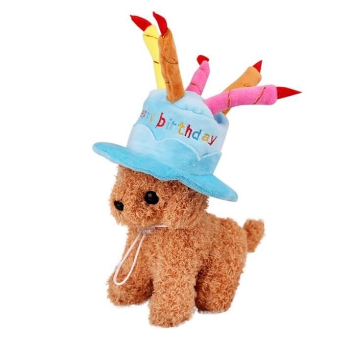 Chapeau Chapeau Joyeux Anniversaire Avec Bougies Chat Chien Animal Domestique Mignon Design Pour Fete Caniche Type Bleu M A Cdiscount Chapeau Chapeau Joyeux Anniversaire Avec Bougies Chat Chien Animal Domestique Mignon Design Pour Fete Caniche Type Bleu M A Cdiscount