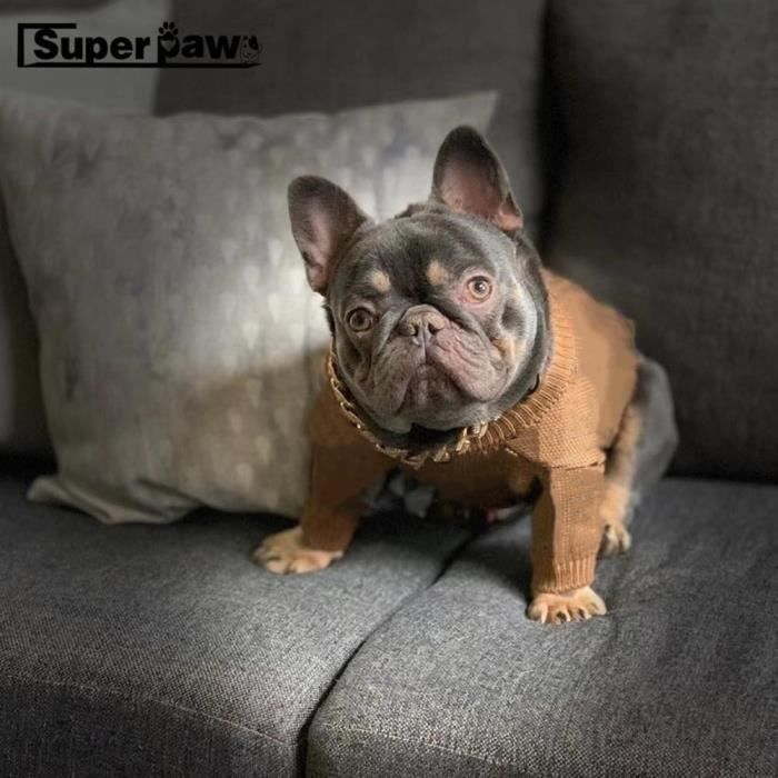 Vetement pour bulldog 2025 anglais