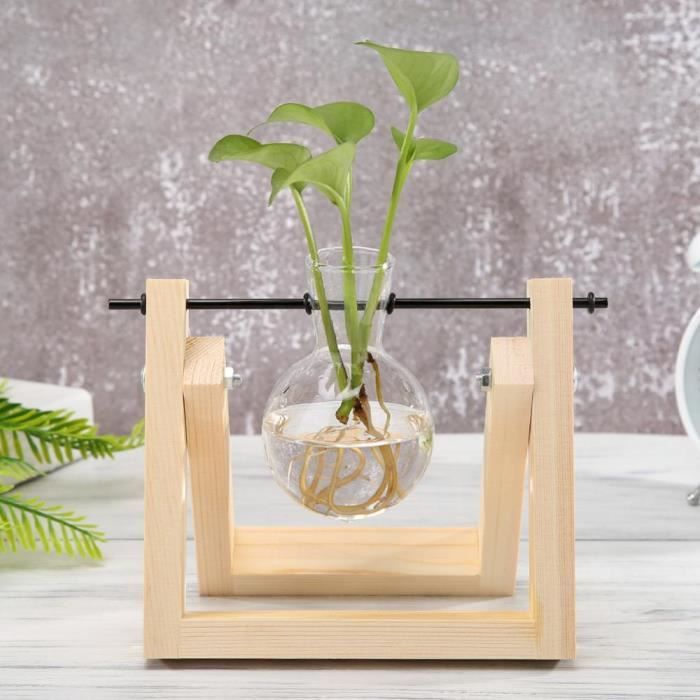 Terrarium En Verre Avec Support Bois - Vase Hydroponique Double Cœur Pour Plantes Bureau