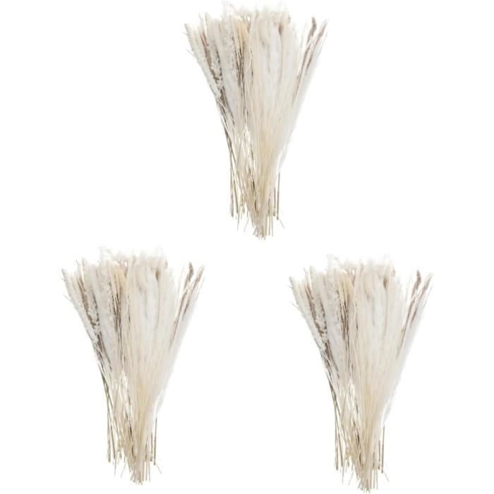 15 Morceaux De 100 Cm Grande Herbe De Pampa, Bouquet De