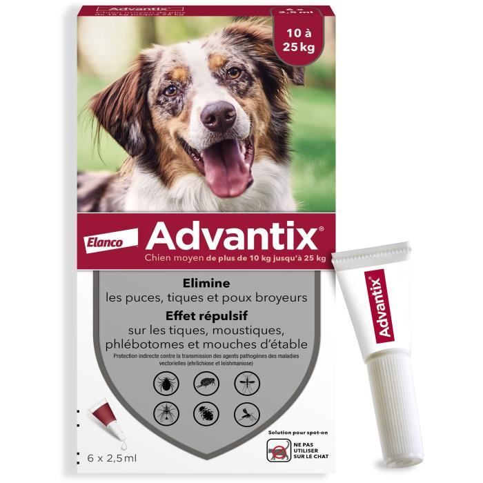 Pipette Anti Puce Et Tique Pour Chat Et Chien Cdiscount