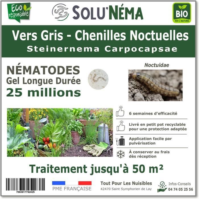 SOLUNEMA - Nématodes SC - Vers Gris - 25 millions Nématodes Steinenerma