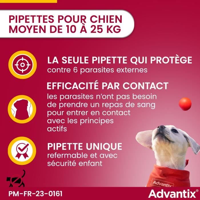 Frontline ou advantix 2025