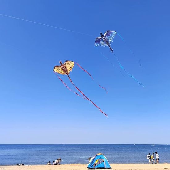 Cerf-Volant Grand Dragon Rouge pour Enfants et Adultes, 170x71inch Cerf Volant monofil Kit Beach Kite avec Une Queue Longue de 160cm Cadeau de Jouets pour Débutants Cerf-Volant Grand Dragon Rouge pour Enfants et Adultes, 170x71inch Cerf Volant monofil Kit Beach Kite avec Une Queue Longue de 160cm Cadeau de Jouets pour Débutants