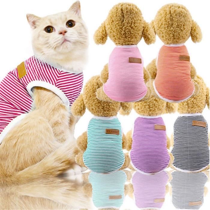Manteau chihuahua pas cher sale
