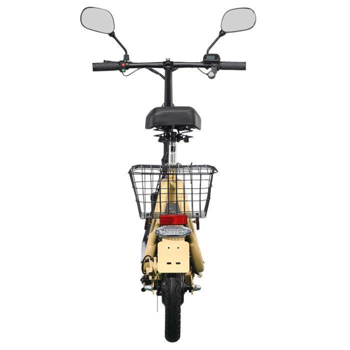 Tricycle électrique Pliable TWOFISH TF-03 - Moteur 500W, Autonomie 30 Km, Charge 100 Kg - Idéal Pour Ville Et Loisirs