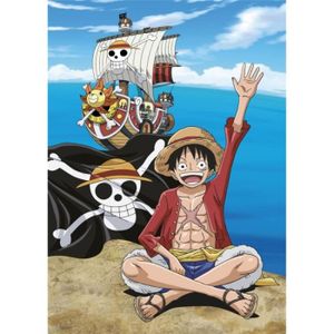 LIWI-Anime One Piece Chapeau De Paille Luffy Plaid Couverture 60