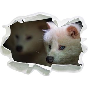 Schleich Vie sauvage Arctic Fox 14805 NEUF