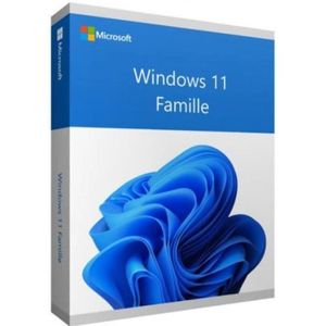 PROFESSIONNEL Windows 11 Famille (Home) 32/64 bit Clé d'activati