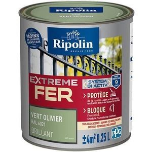 Ripolin Peinture Pour Fer Exterieur Vert Olivier Brillant 0 25l Achat Vente Peinture Vernis Peinture Vert Olivier 0 25 L Cdiscount