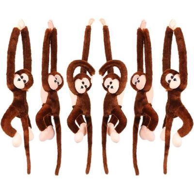 Singe peluche long bras sales