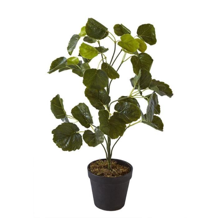 Deco plante OMMA Vert - Polyethylène 57 (H) cm