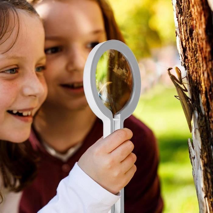 Loupe, Loupe De Lecture À Main La Loupe De Lecture Fournit Des Effets