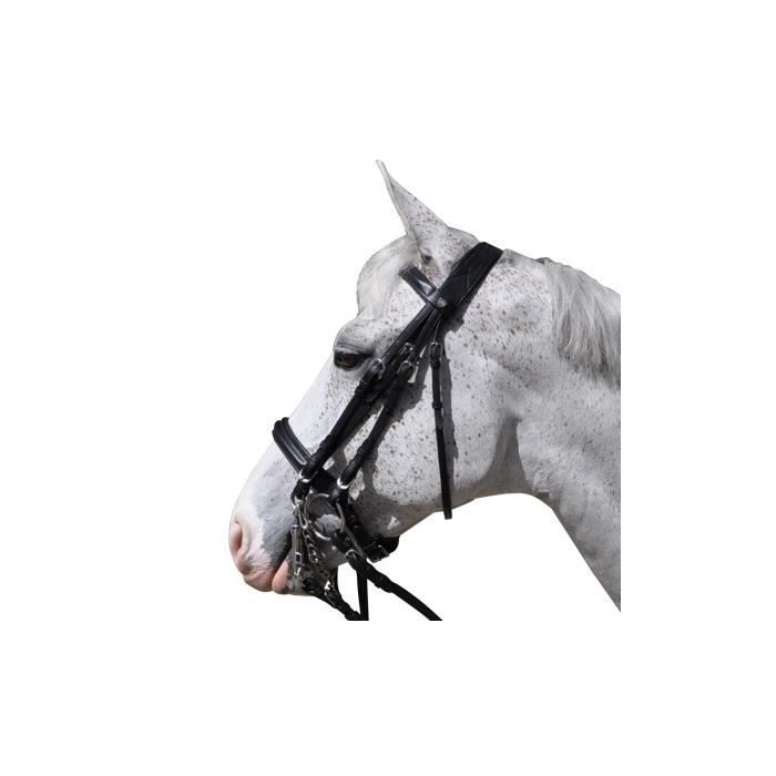 Zilco Accessoires sans embout - S Hackamore