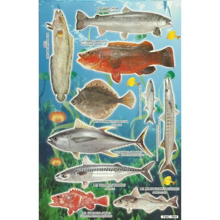 Planche A4 Poisson Fish 10 Sticker Autocollant Traduction En